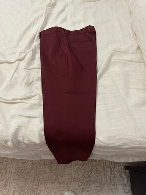 Express Men's Burgundy Dress Pants